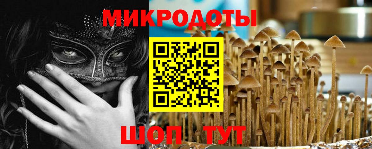 Псилоцибиновые грибы Psilocybine cubensis Бор