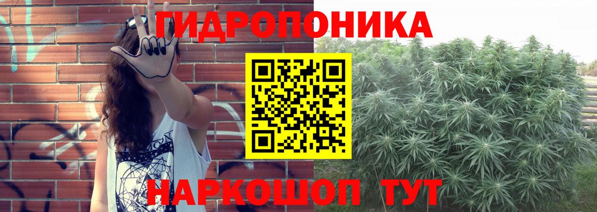 Конопля LSD WEED Бор